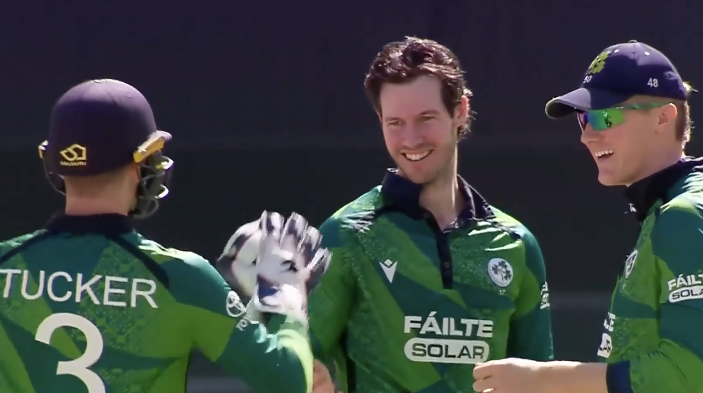 Ireland beat United Arab Emirates by 30 runs | Match 2