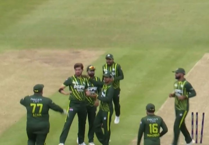 3rd T20I: Ireland Fall of Wickets